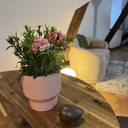 De Charme Au Coeur D'angers Apartment