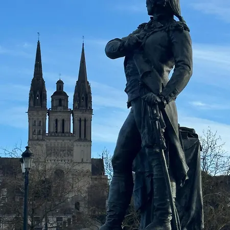 De Charme Au Coeur D'angers Apartment